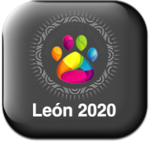 Torneo León 2020