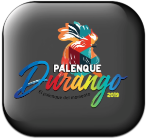 Torneo Durango 2019