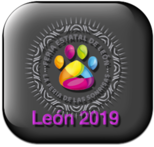 Torneo León 2019