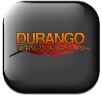 Torneo Durango 2018