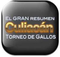 Torneo de Culiacan 2019