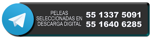 Descargas imagen Telegram