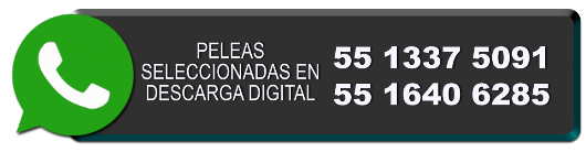 Descargas imagen Whatsapp