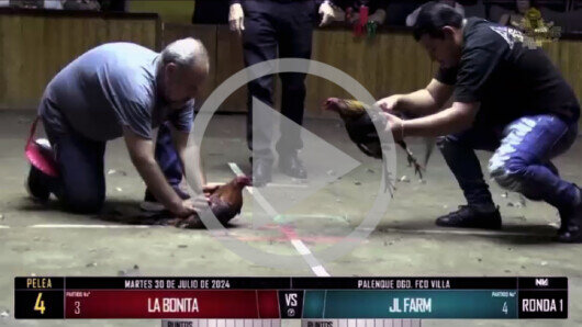 MARTES 30 DE JULIO: DERBY ABIERTO, 50 MIL PUNTOS. 3/5