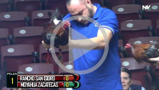 San Isidro vs Moyahua, Zac