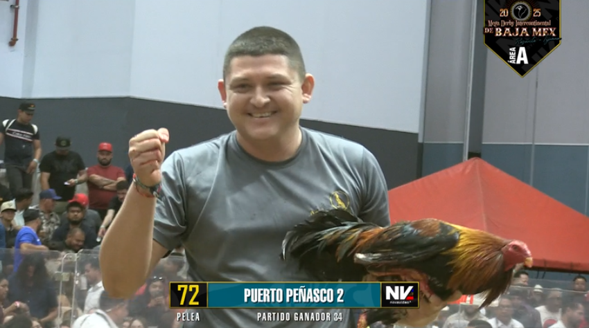 17 de agosto: Derby de 20 equipos, 5 gallos, $50,000, Parte1