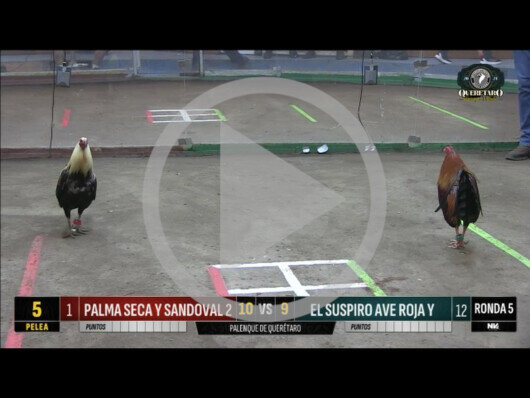 21 abril 24: Mega Derby peleas 1 a 10