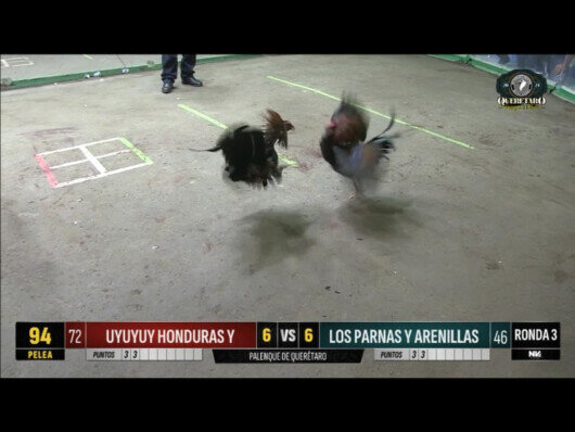 20 abril 24: Mega Derby Peleas 88 a 95