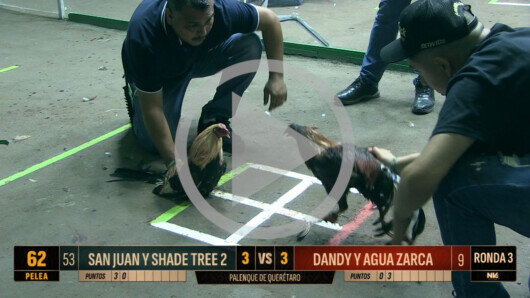 17 abril 24: Mega Derby Peleas 58 a 72