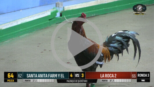 17 abril 24: Mega Derby Peleas 73 a 81