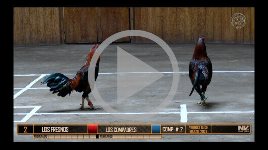 Marzo 15: Los Compadres vs Los Fresnos