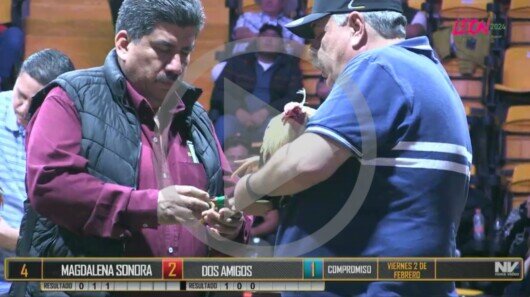 Viernes 2 de febrero: Magdalena, Son. Vs Los Dos Amigos