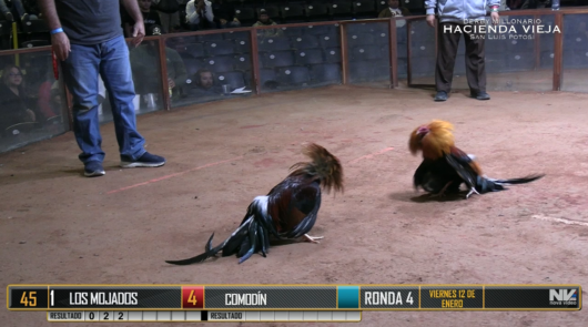 12 de enero: Ronda 4, peleas 47 a 52