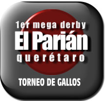 Torneo El Parián 2020