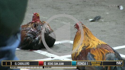 28 de septiembre: DERBY 7 GALLOS PARTE 1/2