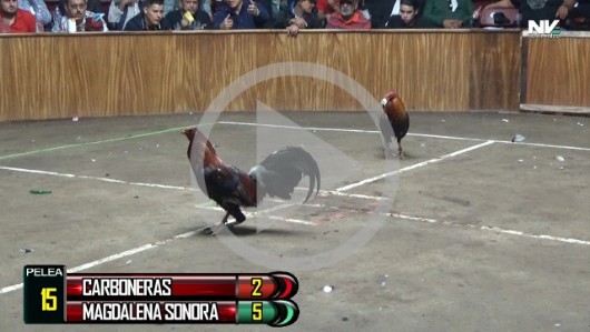 Jalos 22 Las Carboneras vs Magdalena, Son.
