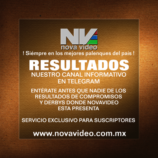 Resultados telegram imagen