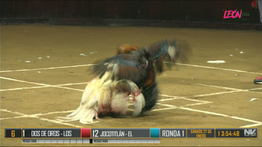 Miércoles 17 de enero: Rancho San Miguel Vs Rancho el Cuatro