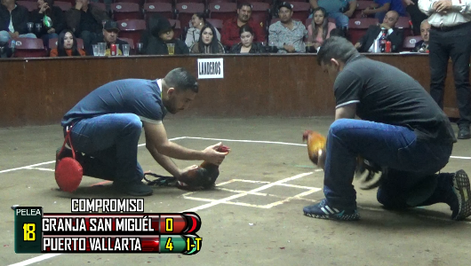 Febrero 18: Compromiso a 9 peleas: Granja San Miguel vs Puerto Vallarta