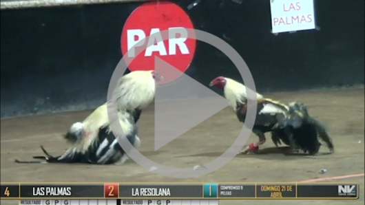 21 de abril: Las Palmas vs La Resolana 2o Copromiso