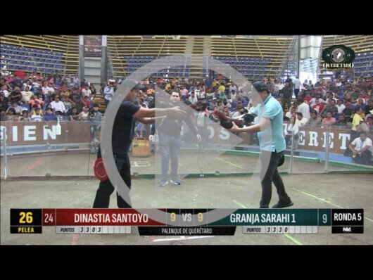 21 abril 24: Mega Derby peleas 21 a 27