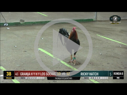 21 abril 24: Mega Derby peleas 41 a 49