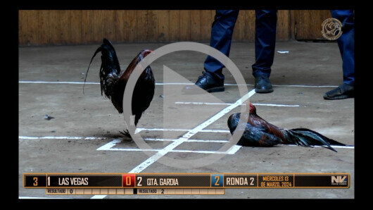 Marzo 13: Derby de 4 partidos, 9 gallos Parte 1/2